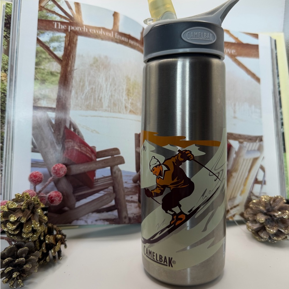 CamelBak Silver Stainless Steel Water Bottle with Ski Graphic and Gray Lid
